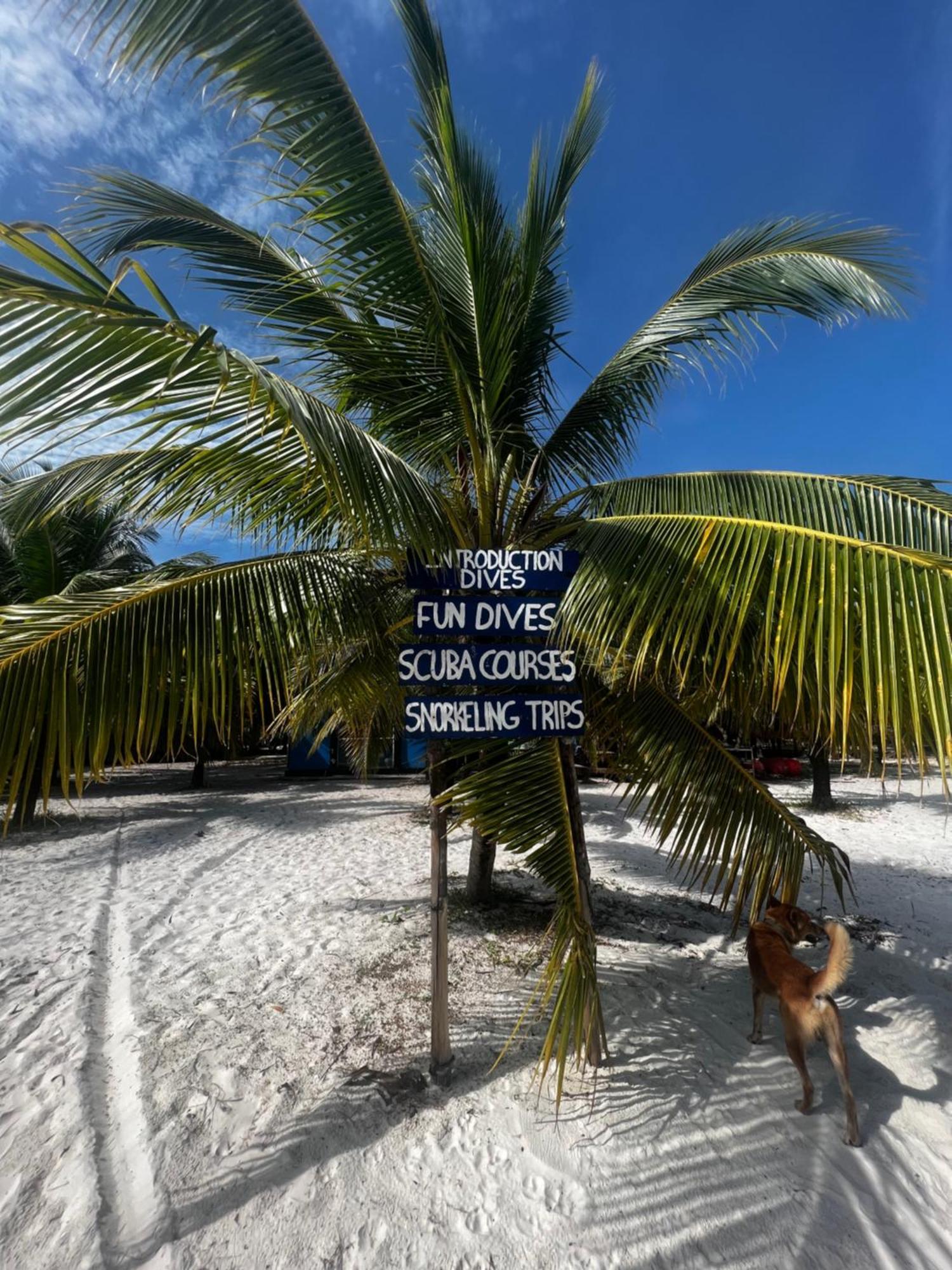 Rafikis Hostel Đảo Koh Rong Ngoại thất bức ảnh